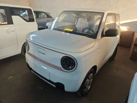 吉利银河 2024款 熊猫mini 200km 耐力熊