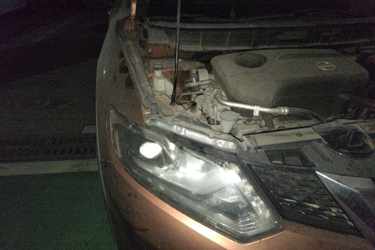 日产 奇骏 2014款 2.5L CVT至尊版 4WD局部细节9006