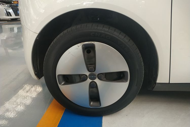 欧拉黑猫 2021款 301km 基础型车身外观6007