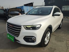 哈弗H4 2019款 红标 1.5GDIT DCT精英智联版