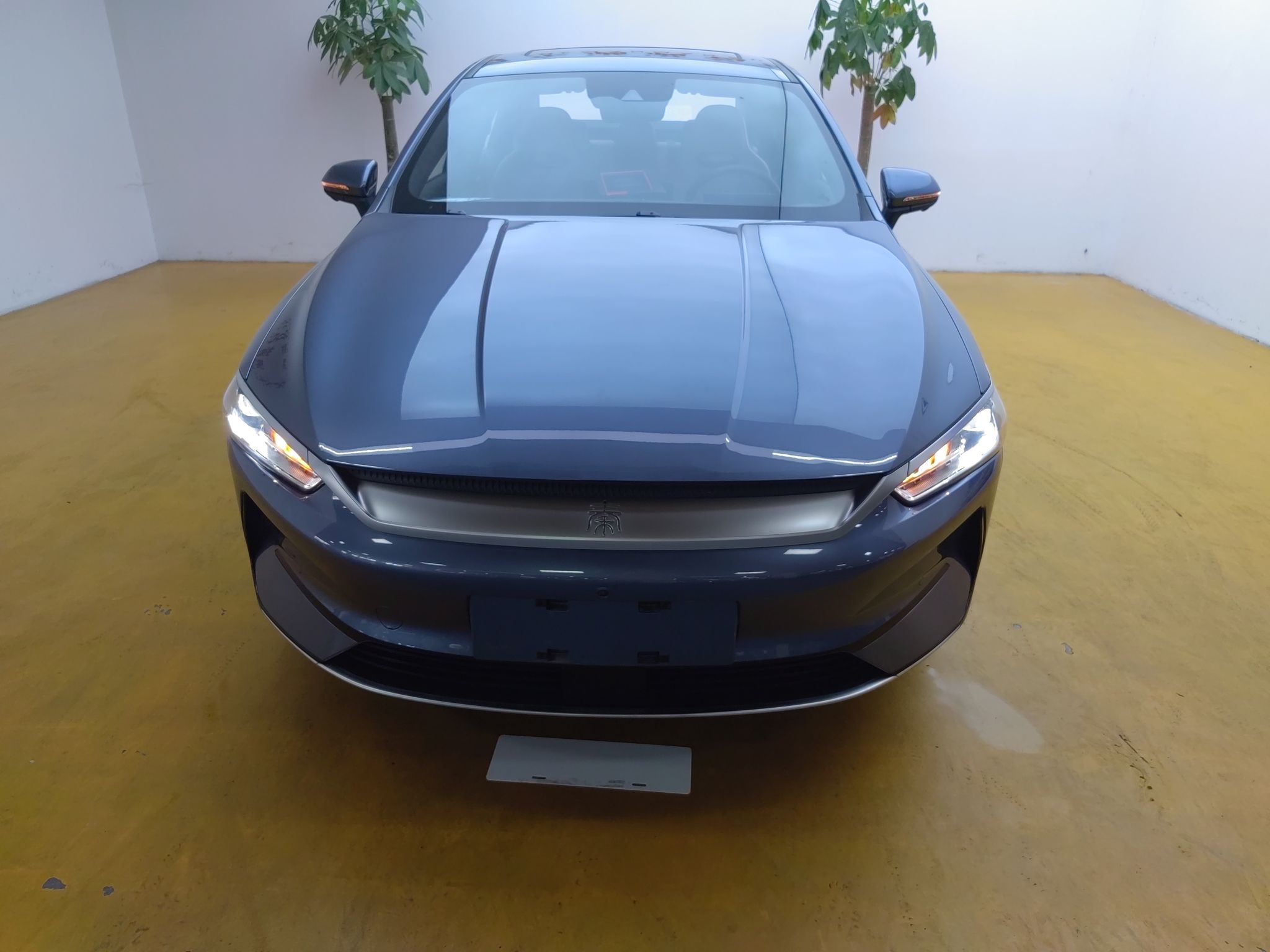 比亚迪 秦PLUS 2024款 荣耀版 EV 510KM卓越型