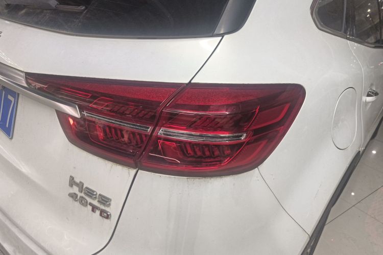 红旗HS5 2019款 2.0T 智联旗享版车身外观9