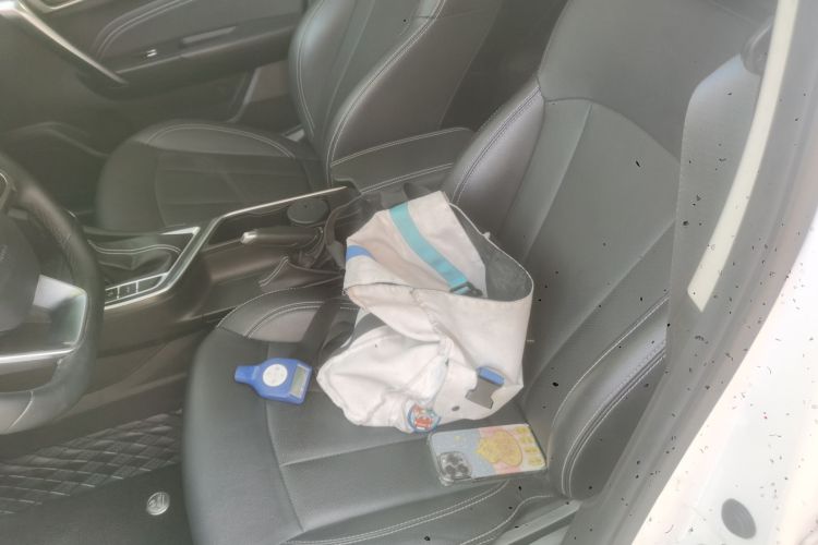 吉利汽车 远景X3 2020款 1.5L CVT尊贵型中控内饰19