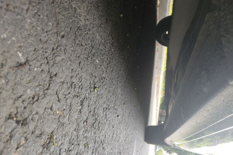 雪佛兰 科鲁泽 2021款 320 自动悦享天窗版局部细节9004