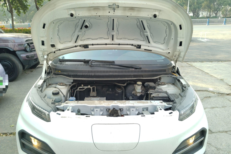 大运 悦虎 2022款 30.66kWh 两驱标准版机舱底盘24
