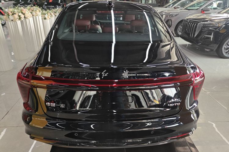 红旗H5 2025款 2.0T 自动玄影200万辆纪念版车身外观6004