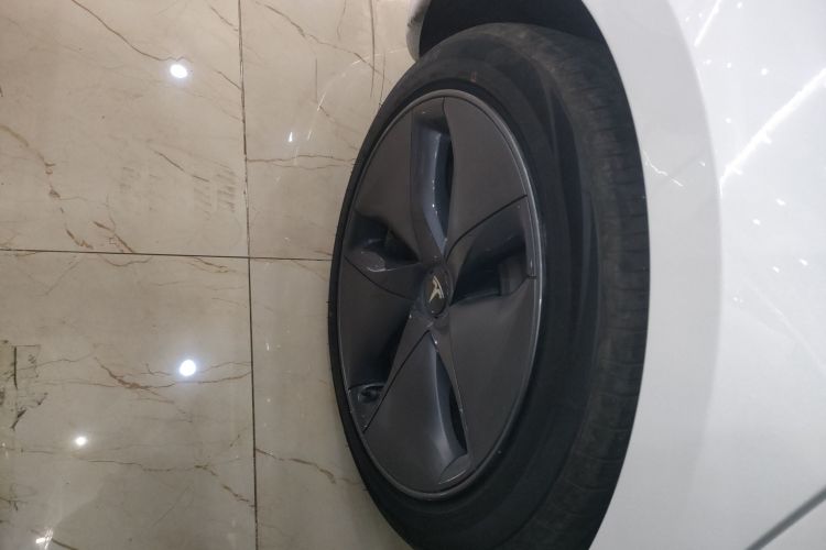 特斯拉 Model 3 2020款 改款 标准续航后驱升级版车身外观6008