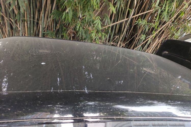 东风纳米 纳米01 2024款 共创版  共创WE版局部细节57