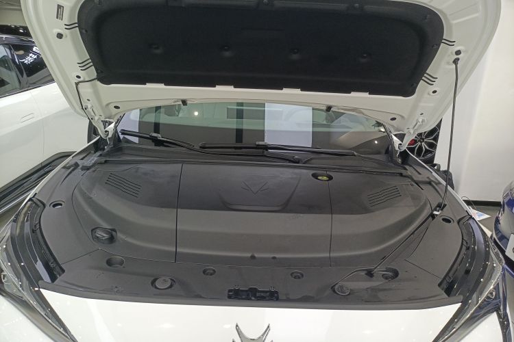 ARCFOX极狐 极狐 阿尔法S5 2024款 708MAX 200kW局部细节24