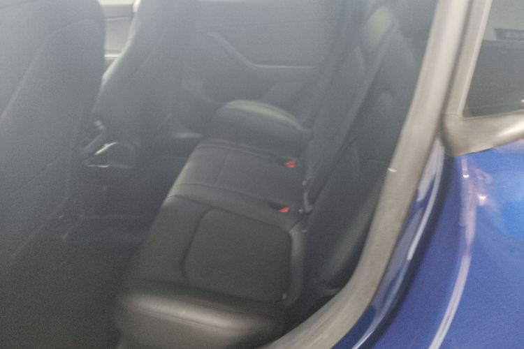 特斯拉 Model Y 2021款 标准续航后驱版中控内饰21