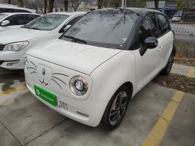 欧拉黑猫 2022款 351km 舒适型 三元锂