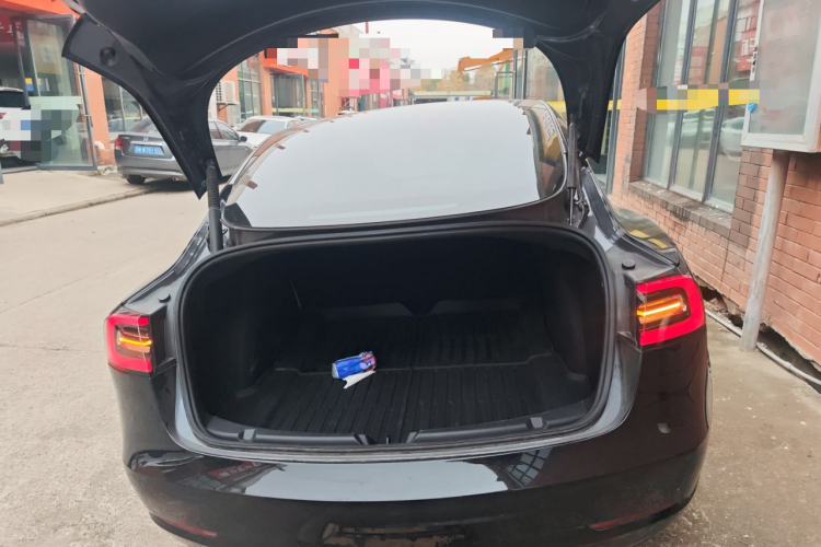 特斯拉 Model 3 2021款 标准续航后驱升级版局部细节23