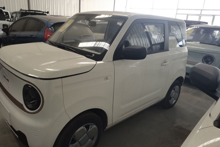 吉利银河 2024款 熊猫mini 200km 耐力熊车身外观4