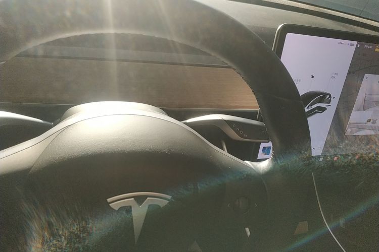 特斯拉 Model 3(进口) 2019款 Performance高性能全轮驱动版中控内饰18