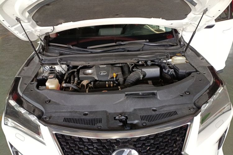 雷克萨斯RX 2016款 300 四驱典雅版 国V局部细节24