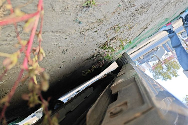 比亚迪 秦PLUS 2021款 DM-i 55KM 旗舰型局部细节9002