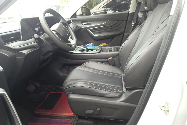 启辰大V 2022款 260T 定制版·爱豆局部细节19