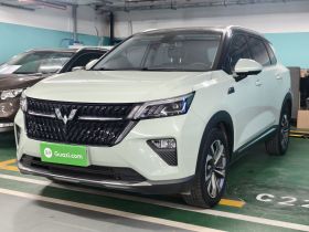 五菱汽车 五菱星辰 2022款 2.0L DHT电速款