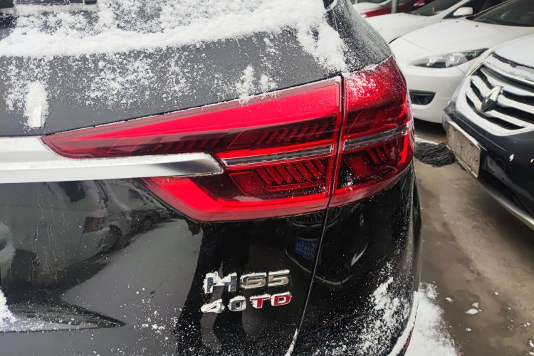 红旗HS5 2022款 2.0T 智联旗享四驱版车身外观9