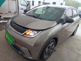 比亚迪 海豚 2021款 405km 时尚版