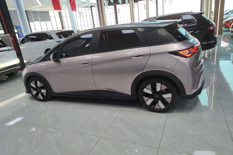 比亚迪 海豚 2021款 401km 骑士版车身外观6003