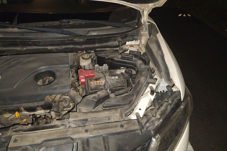 日产 奇骏 2014款 2.0L CVT智领版 2WD局部细节9007