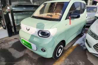 五菱汽车 宏光MINIEV 2024款 第三代 215km 青春版