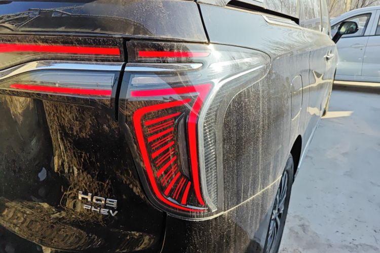 红旗HQ9 PHEV 2024款 2.0T 四驱商务版车身外观9