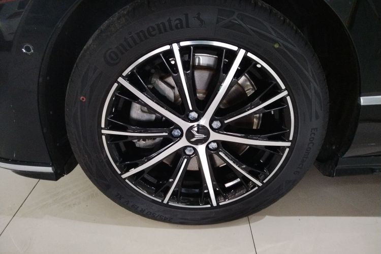 岚图汽车 岚图追光 2024款 PHEV 四驱超长续航行政版车身外观6007