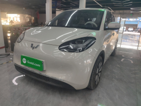 五菱汽车 五菱缤果 2023款 203km 舒享款