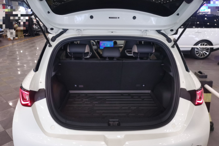 比亚迪 海豚 2024款 荣耀版 420km 时尚版机舱底盘23