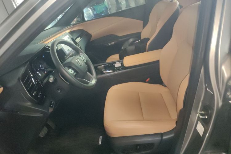 雷克萨斯RX 2025款 300 四驱骏享版局部细节19