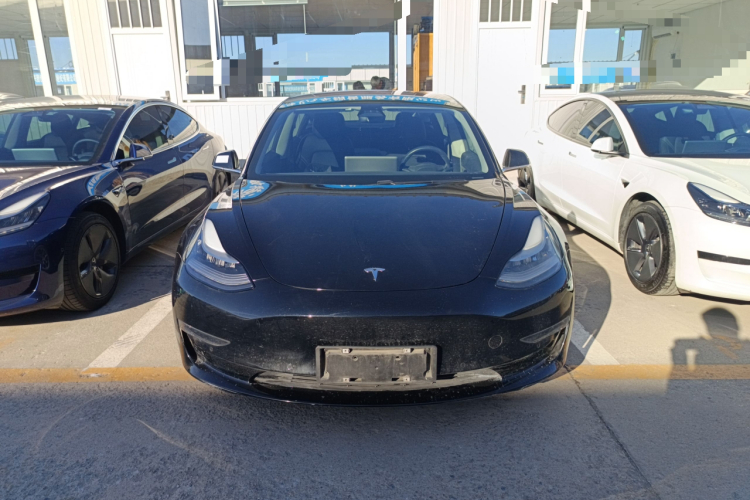 特斯拉 Model 3(进口) 2019款 长续航后驱版车身外观6001