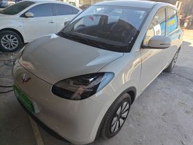 五菱汽车 五菱缤果 2023款 203km 舒享款