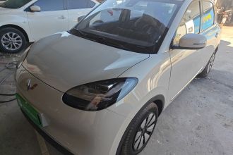 五菱汽车 五菱缤果 2023款 203km 舒享款