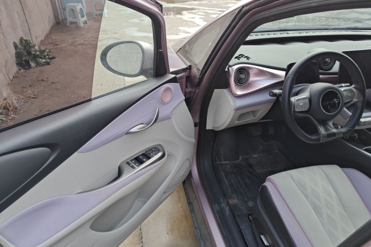 比亚迪 海豚 2023款 420km 自由版中控内饰20