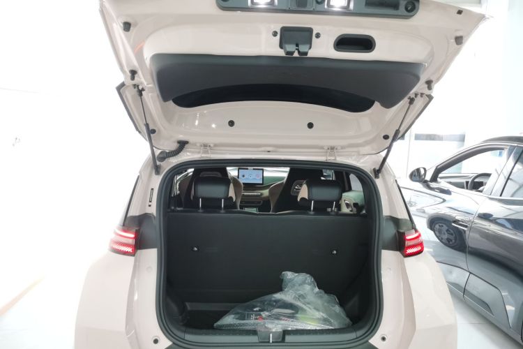 比亚迪 海鸥 2025款 305km 活力版机舱底盘23