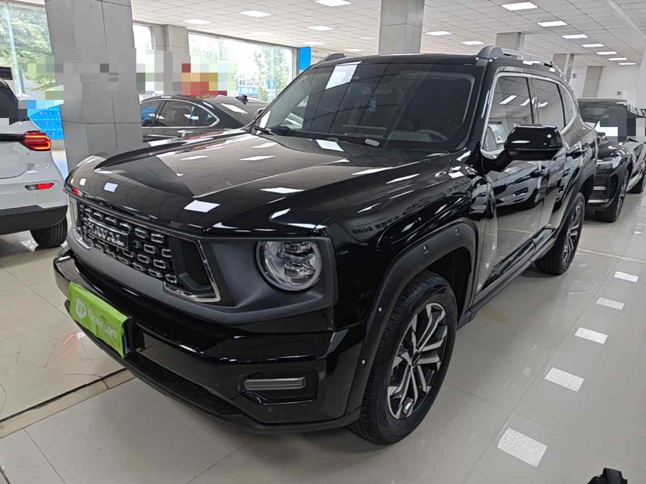 哈弗大狗 PLUS 2023款 1.5T 两驱潮野版Plus(2)