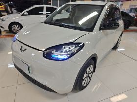 五菱汽车 五菱缤果 2023款 203km 轻享款