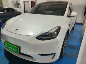 特斯拉 Model Y 2021款 长续航全轮驱动版