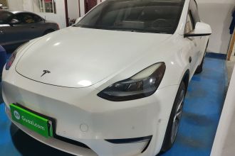 特斯拉 Model Y 2021款 长续航全轮驱动版