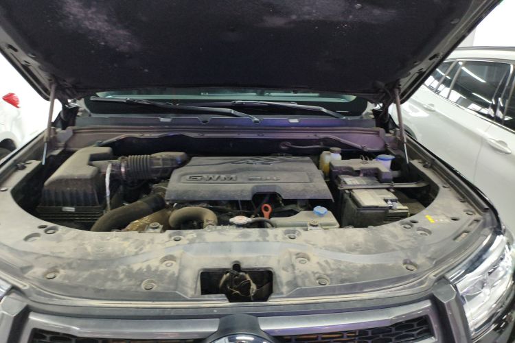 长城 炮 2024款 2.4T乘用版自动柴油两驱舒适型机舱底盘24