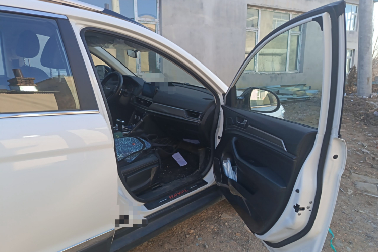 哈弗H6 2021款 运动版 1.5T 自动精英智联型 六边形格栅局部细节9005