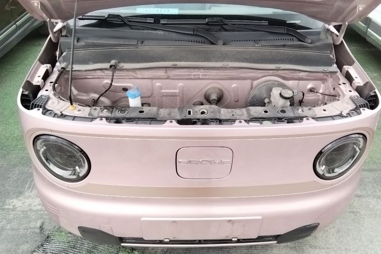 吉利汽车 2023款 熊猫mini 200km 耐力熊机舱底盘24