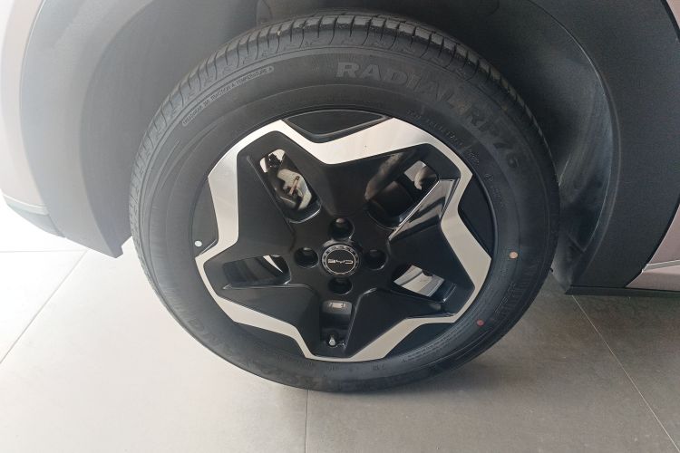 比亚迪 海豚 2021款 405km 时尚版车身外观6004