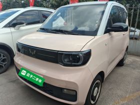 五菱汽车 宏光MINIEV 2022款 马卡龙时尚款 磷酸铁锂