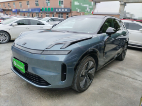 领克08 EM-P 2025款 220km 四驱性能Halo