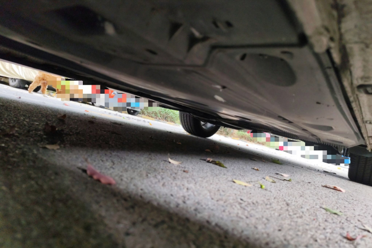 大众 高尔夫 2018款  230TSI 自动豪华型局部细节9004