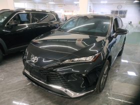 丰田 威飒 2023款 2.0L CVT两驱豪华版