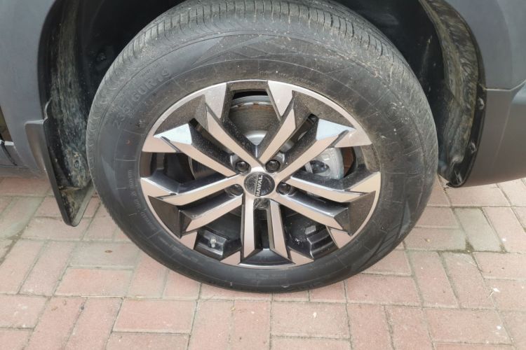 哈弗大狗 2024款 1.5T DCT拉布拉多版车身外观10